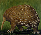 Nr 2 - The Long Beaked Echidna (2020) Nr 2 - The Long Beaked Echidna (2020)