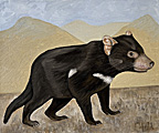 Nr 7 - The Tasmanian Devil (2022) Nr 7 - The Tasmanian Devil (2022)